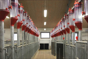 Feed dispensers for dry feeding