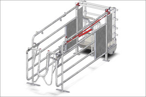 Free-access-box-mating-gestation