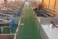 Farrowing unit, Herning